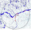 Eastern Silvery Minnow / Méné d'argent / Hybognathus regius